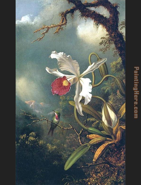 An Amethyst Hummingbird with a White Orchid painting - Martin Johnson Heade An Amethyst Hummingbird with a White Orchid art painting